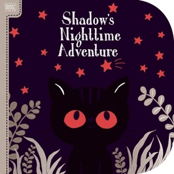 Board book Bright Books: Shadow's Nighttime Adventure Book