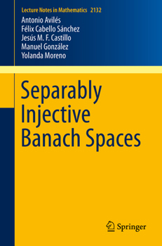 Paperback Separably Injective Banach Spaces Book