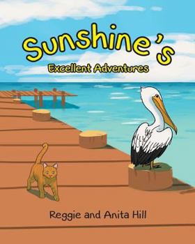 Paperback Sunshine's Excellent Adventures Book