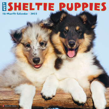 Calendar Just Sheltie Puppies 2022 Wall Calendar (Dog Breed) Book