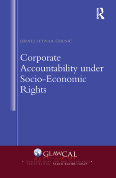 Paperback Corporate Accountability Under Socio-Economic Rights Book