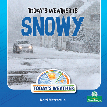 Today's Weather Is Snowy