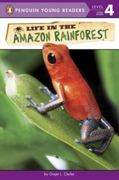 Hardcover Life in the Amazon Rainforest Book