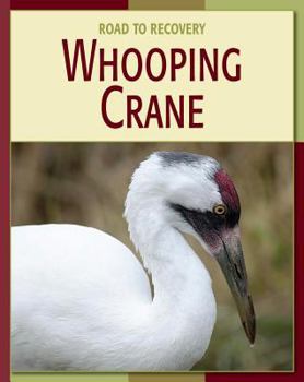 Whooping Crane (21st Century Skills Library: Road to Recovery) - Book  of the Road to Recovery