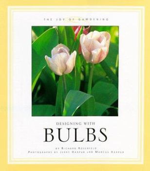 Hardcover Designing with Bulbs Book