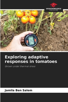 Paperback Exploring adaptive responses in tomatoes Book