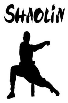 Paperback Shaolin: Lined Journal or Notebook (6x9 inches) wich 110 Pages [German] Book