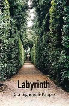 Paperback Labyrinth Book