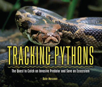 Paperback Tracking Pythons: The Quest to Catch an Invasive Predator and Save an Ecosystem Book