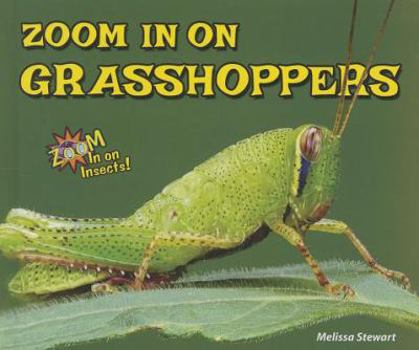 Zoom in on Grasshoppers - Book  of the Zoom In on Insects!