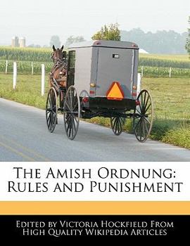 Paperback The Amish Ordnung: Rules and Punishment Book