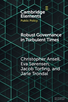 Paperback Robust Governance in Turbulent Times Book