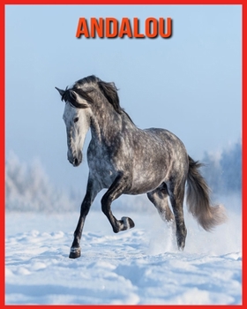 Andalou: Photos Etonnantes & Recueil d’Informations Amusantes Concernant les Andalou pour Enfants