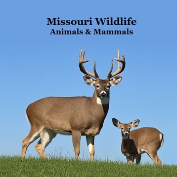 Missouri Animals and Mammals Kids Wildlife Book: Great Missouri Animals book with Lifelike Images and Fun Facts