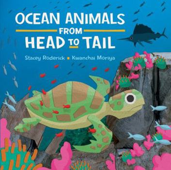 Hardcover Ocean Animals from Head to Tail Book