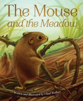 Paperback The Mouse and the Meadow Book