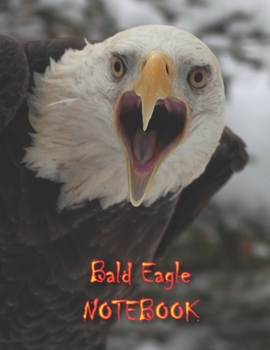 Bald Eagle NOTEBOOK: Notebooks and Journals 110 pages (8.5"x11")