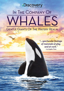 DVD In the Company of Whales Book