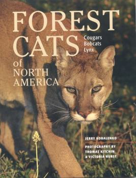 Paperback Forest Cats of North America Book