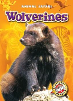 Wolverines - Book  of the Animal Safari