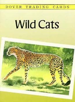 Cards Wild Cats: Trading Cards Book