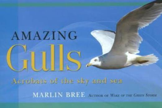 Paperback Amazing Gulls: Acrobats of the Sky and Sea Book