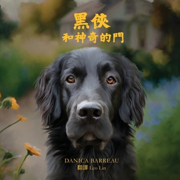 Paperback Rook and the Magic Door (Chinese Edition) 黑俠和神奇的門 [Chinese] Book