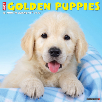 Calendar Just Golden Puppies 2023 Wall Calendar Book