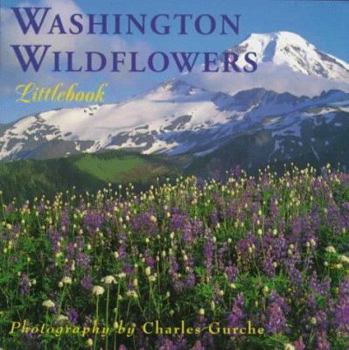 Hardcover Washington Wildflowers (Washington Littlebooks) Book