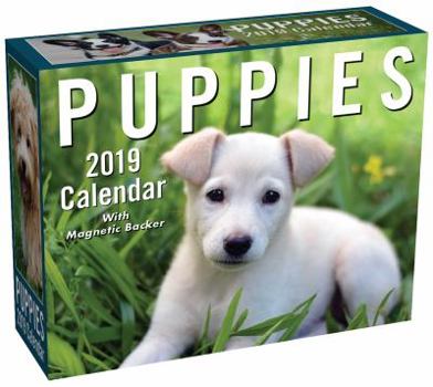 Calendar Puppies 2019 Mini Day-To-Day Calendar Book