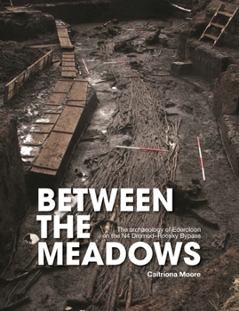 Paperback Between the Meadows: The Archaeology of Edercloon on the N4 Dromod-Roosky Bypass Book