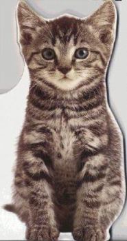 Board book Kitten (Life-size Shaped Board Book) Book