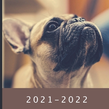 2021 - 2022: 18 Month Calendar - Monthly Photo Calendar - July 2021 - December 2022 - Monthly Calendar with U.S./UK/ Canadian/Christian/Jewish/Muslim Holidays - French Bulldog Calendar