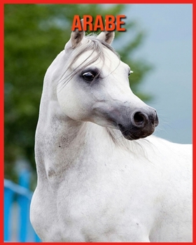 Arabe: Informations Fascinantes Concernant les Arabe avec de Superbes Images pour Enfants!