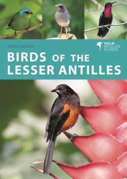 Paperback Birds of the Lesser Antilles Book