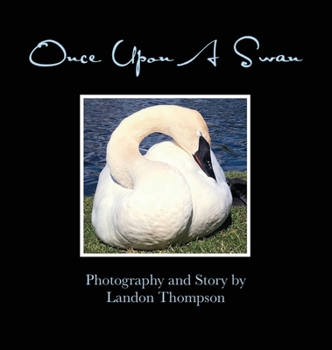 Hardcover Once Upon A Swan Book