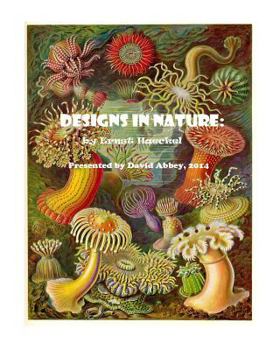 Paperback Designs in Nature: the incredible art of Ernst Haeckel Book