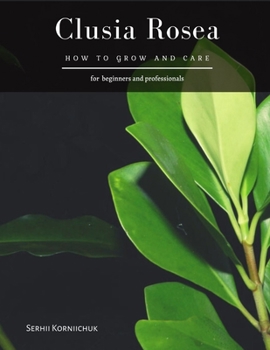 Clusia Rosea: How to grow and care