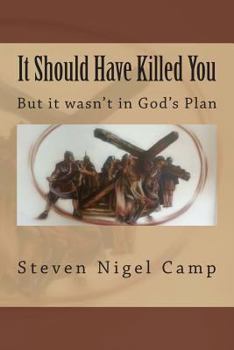 Paperback It Should Have Killed You: (But it wasn't in God's Plan) Book
