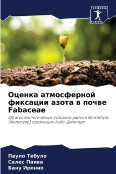 Paperback Оценка атмосферной фикс& [Russian] Book