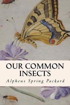 Paperback Our Common Insects Book