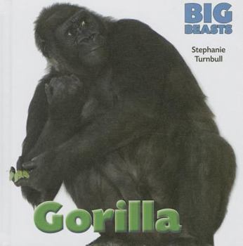 Gorilla - Book  of the Big Beasts