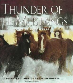 Hardcover Thunder of the Mustangs: Legend and Lore of the Wild Horses Book