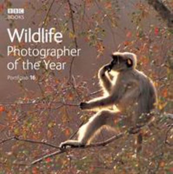 Hardcover Wildlife Photographer of the Year: Portfolio 16 Book