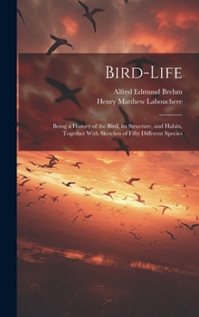 Hardcover Bird-Life: Being a History of the Bird, Its Structure, and Habits, Together With Sketches of Fifty Different Species Book