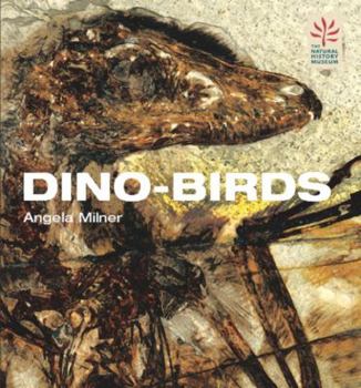 Hardcover Dino-birds: From Dinosaurs to Birds Book