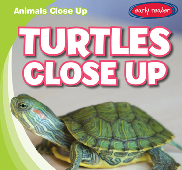 Paperback Turtles Close Up Book