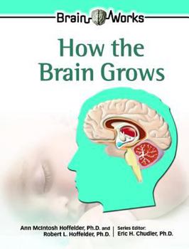 Library Binding How the Brain Grows Book