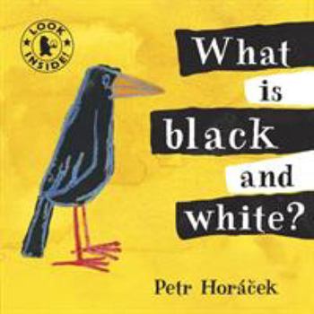 Board book What Is Black and White? Book