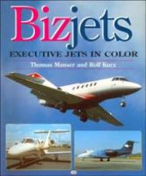 Paperback Bizjets: Executive Jets in Color Book